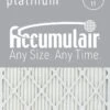 10x14x1 (Actual Size) Accumulair Platinum Filter MERV 11